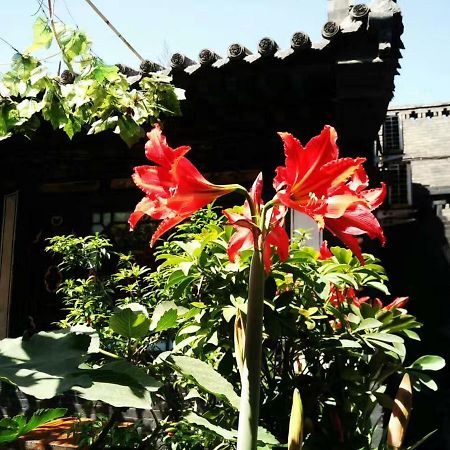 Pingyao Tian Yi Hostel Zewnętrze zdjęcie